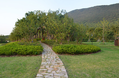 江苏大阳山国家森林公园植物园二期景观绿化工程二标段 打造生态与美学的和谐画卷