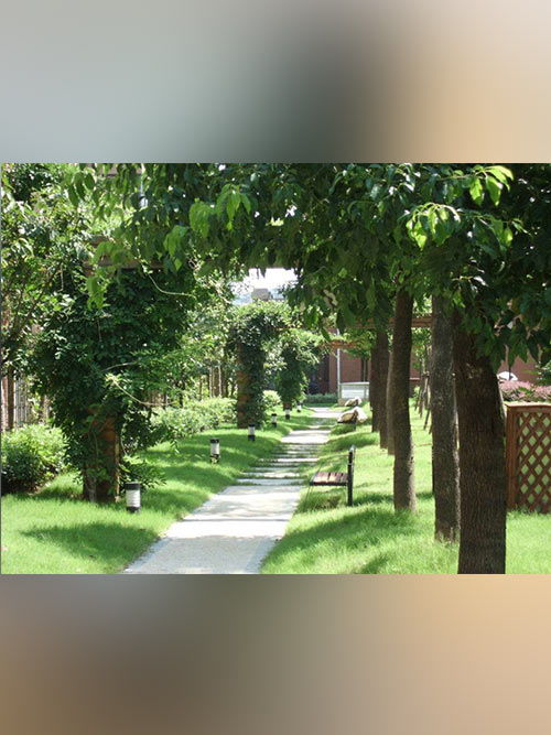 园林绿化服务公司 打造自然与人文交融的绿色空间