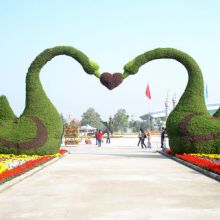 深圳市万年春园林绿化公司 打造城市生态绿洲的专业力量