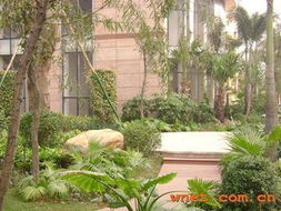 深圳市巴比伦环境园林艺术 荟芳园园林景观建设工程与产品展厅