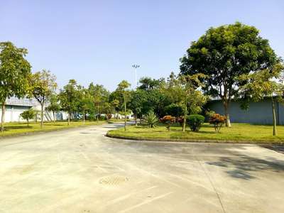 园林绿化工程案例 深圳市中环水务绿化养护