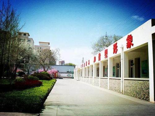 园林绿化工程中的提质增效 我做先锋的切实行动与深度解析