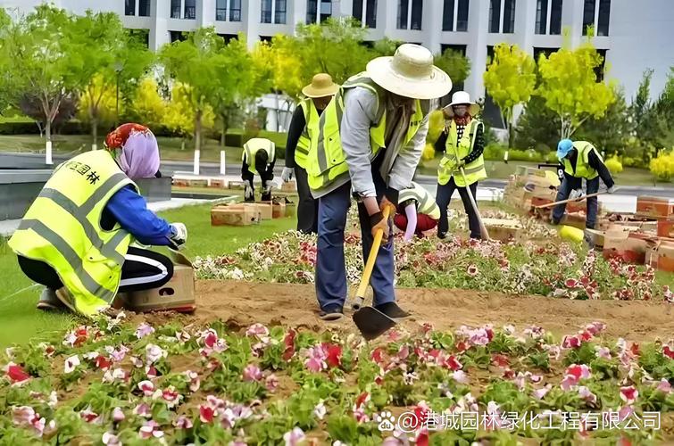 港城园林绿化工程扎根港城,以"提升城市生活品质"为使命,专注