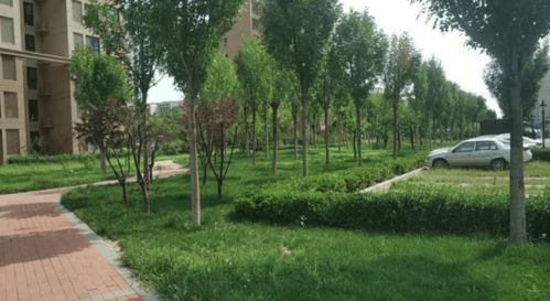 久益集团 以园林绿化工程践行企业社会责任