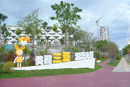 倒计时100天，揭秘三亚园林绿化工程的精彩亮点