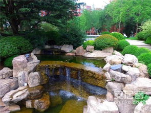 喜讯 致远翡翠园荣获山东省园林绿化优质工程奖项