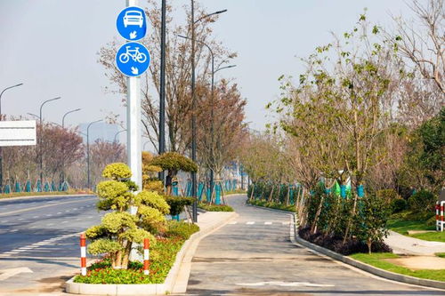 经开区八项园林绿化工程荣获“南湖杯”优质工程奖